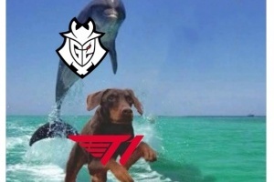 BLG你人呢？G2官推更新动态：四分之一决赛群聊更新