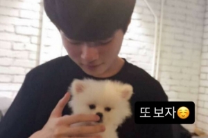 Deft更新与EDG队宠nice的快拍：再见吧