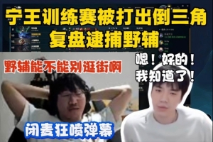 Ning解说杯训练赛被打出倒三角 赛后复盘逮捕野辅 闭麦狂喷弹幕！